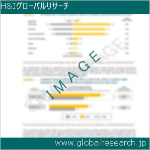 グローバルリサーチ調査レポートのイメージ